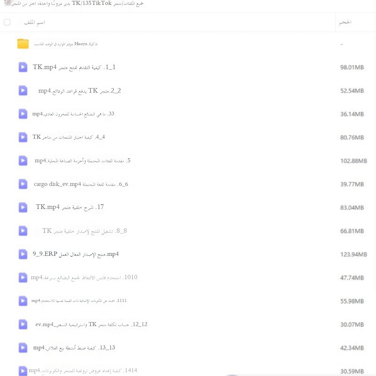 دورة تشغيل التجارة الإلكترونية عبر الحدود باستخدام تيك توك