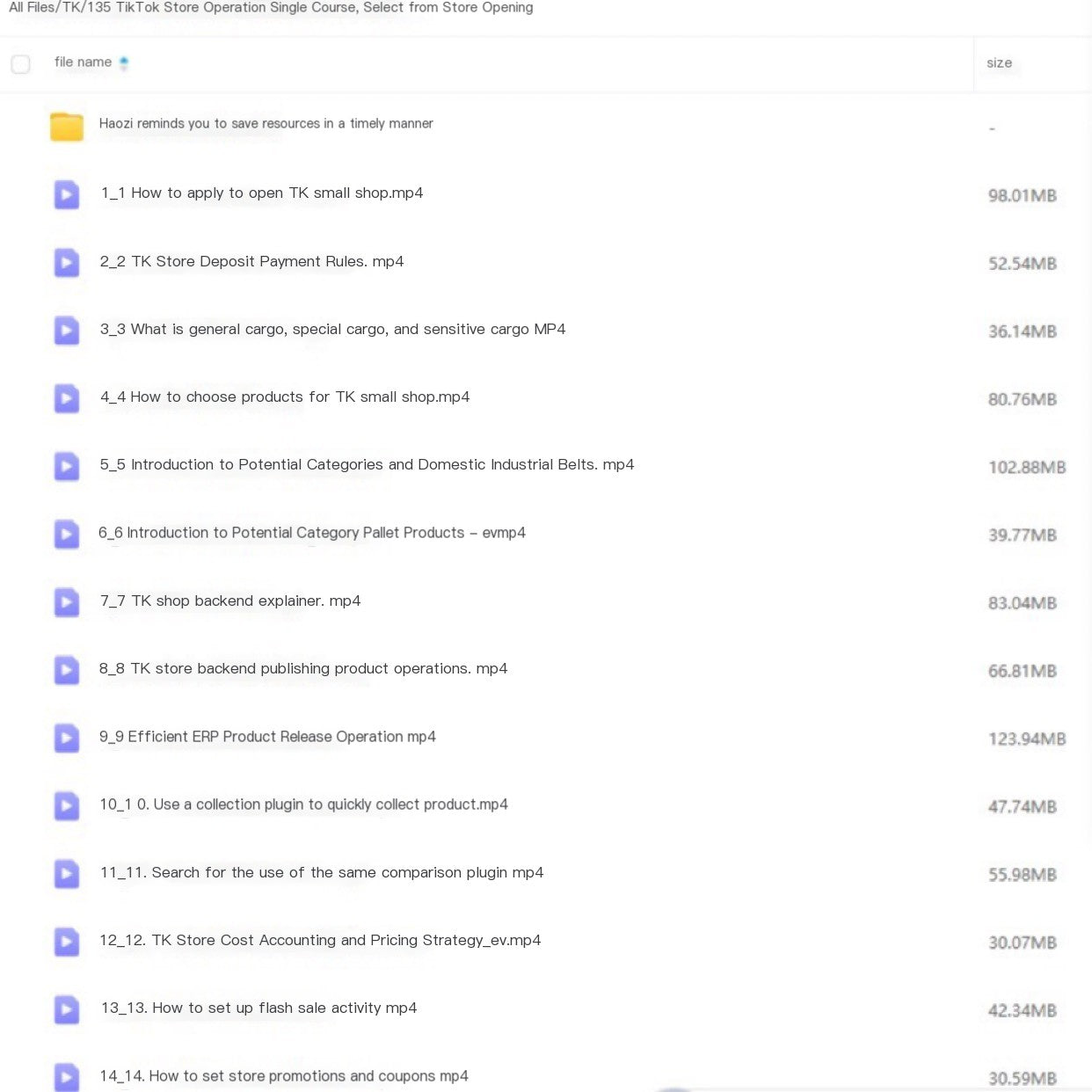 Tiktok cross-border e-commerce operation course