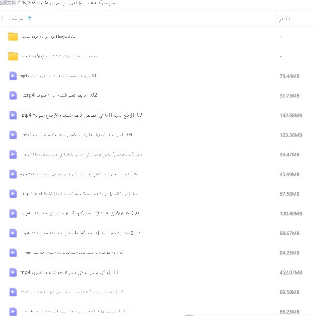 دورة تشغيل التجارة الإلكترونية عبر الحدود باستخدام تيك توك