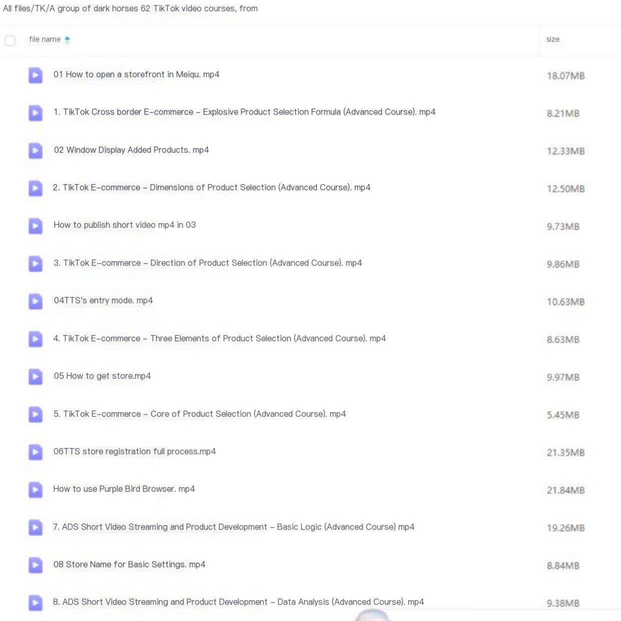Tiktok cross-border e-commerce operation course